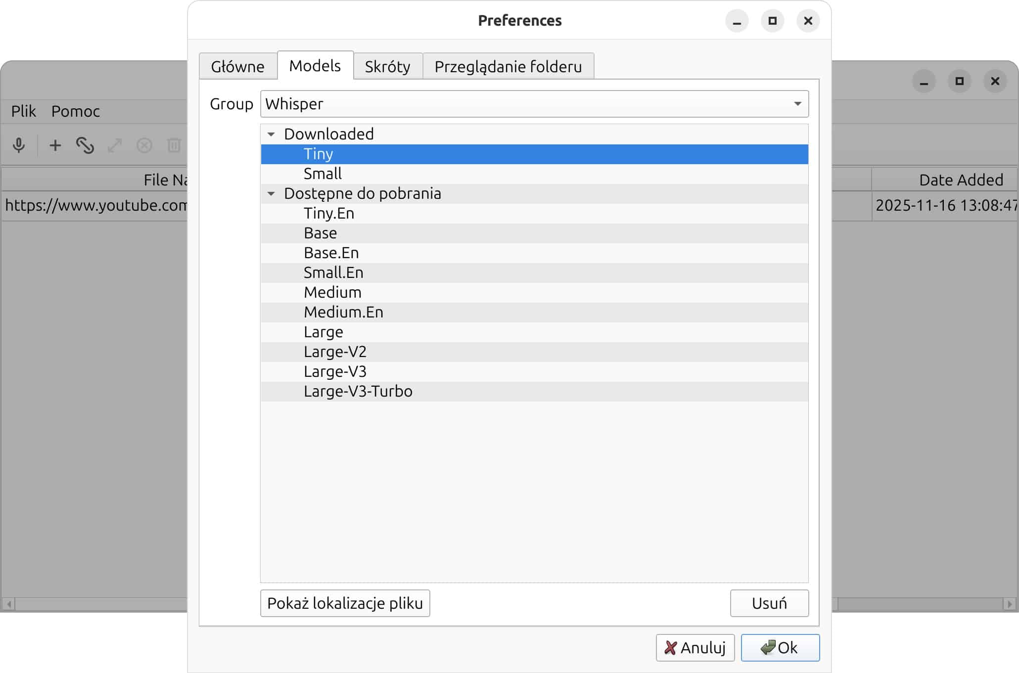 Instalacja modeli AI